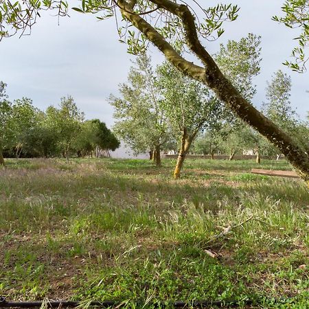 Agroturismo Malbuger Nou Menorca -Adults Only- Mahón Екстериор снимка