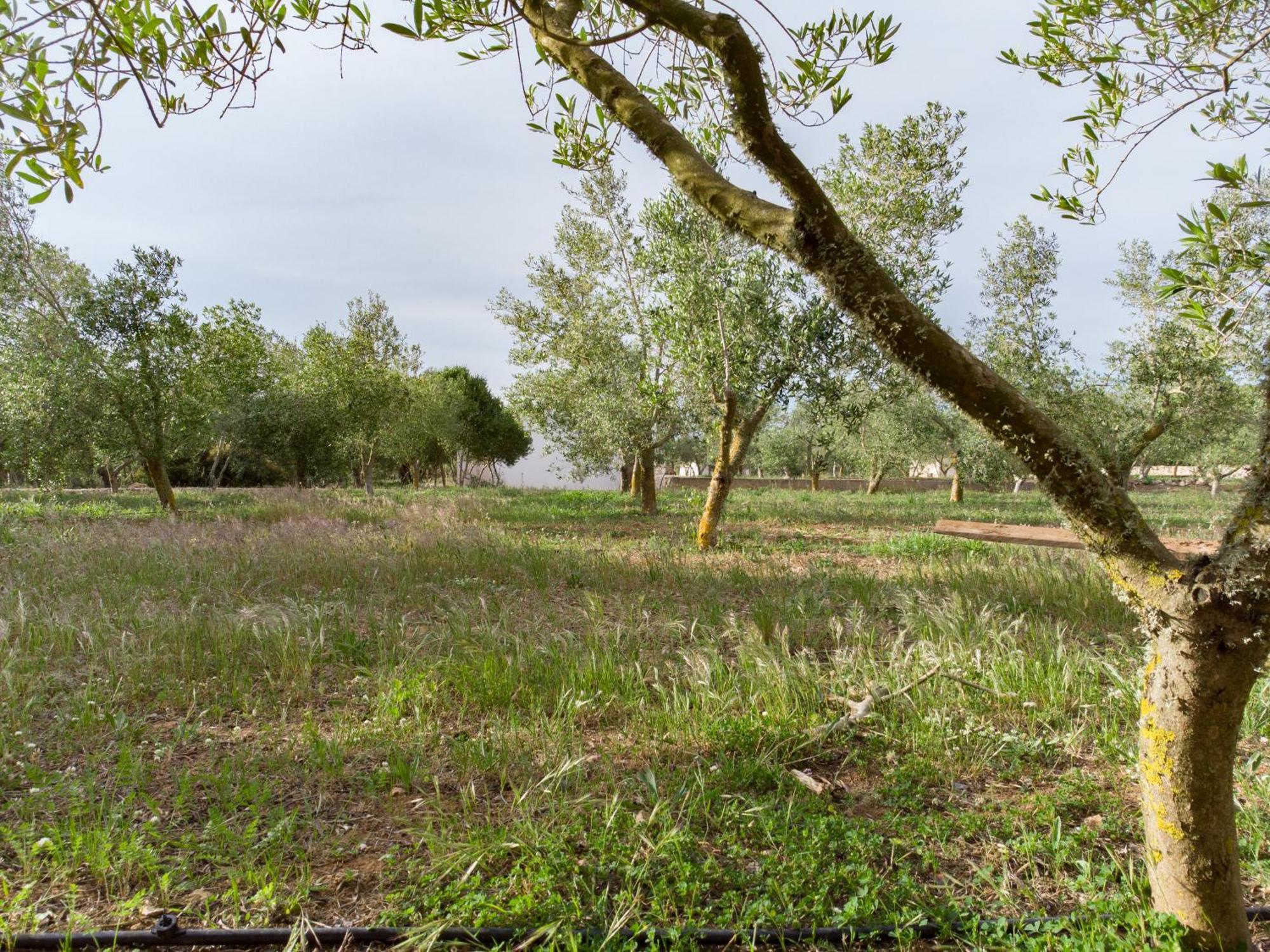 Agroturismo Malbuger Nou Menorca -Adults Only- Mahón Екстериор снимка